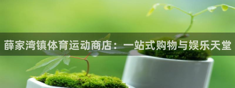 鲸鱼体育网页版入口：薛家湾镇体育运动商店：一站式购物与娱乐天堂