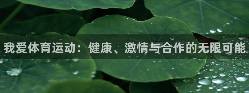 鲸鱼体育是什么
