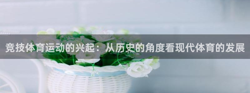 鲸鱼体育手机版兼容性