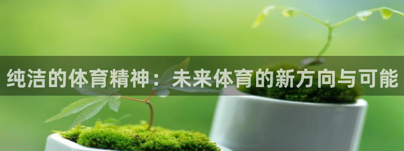 鲸鱼体育nba：纯洁的体育精神：未来体育的新方向与可能