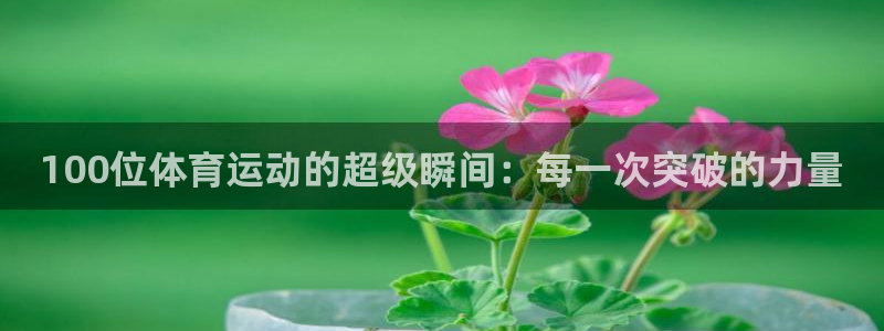 鲸鱼体育电视版下载安装