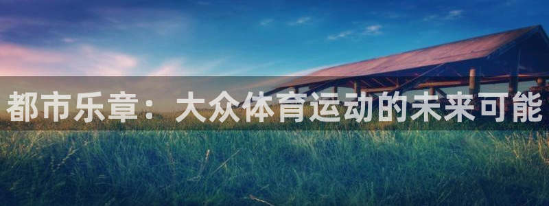 鲸鱼体育用户口碑评价