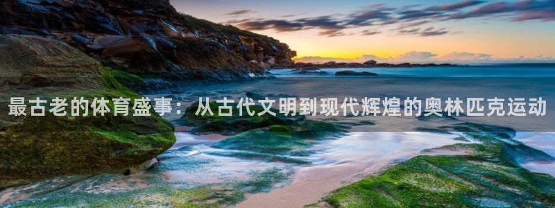 鲸鱼体育平台下载