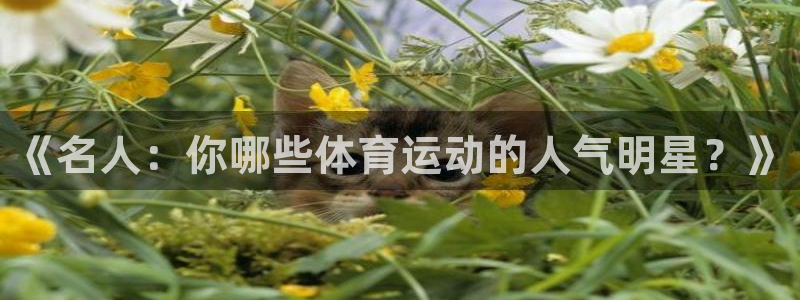 鲸鱼体育比赛直播：《名人：你哪些体育运动的人气明星？》