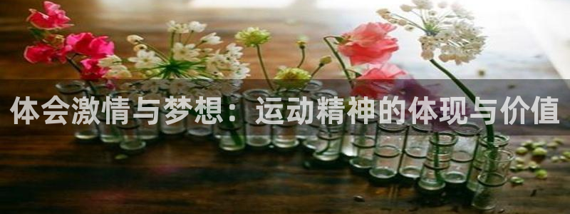 鲸鱼体育很高